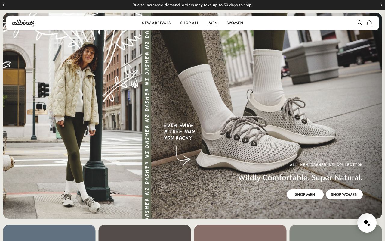Capture du site Allbirds